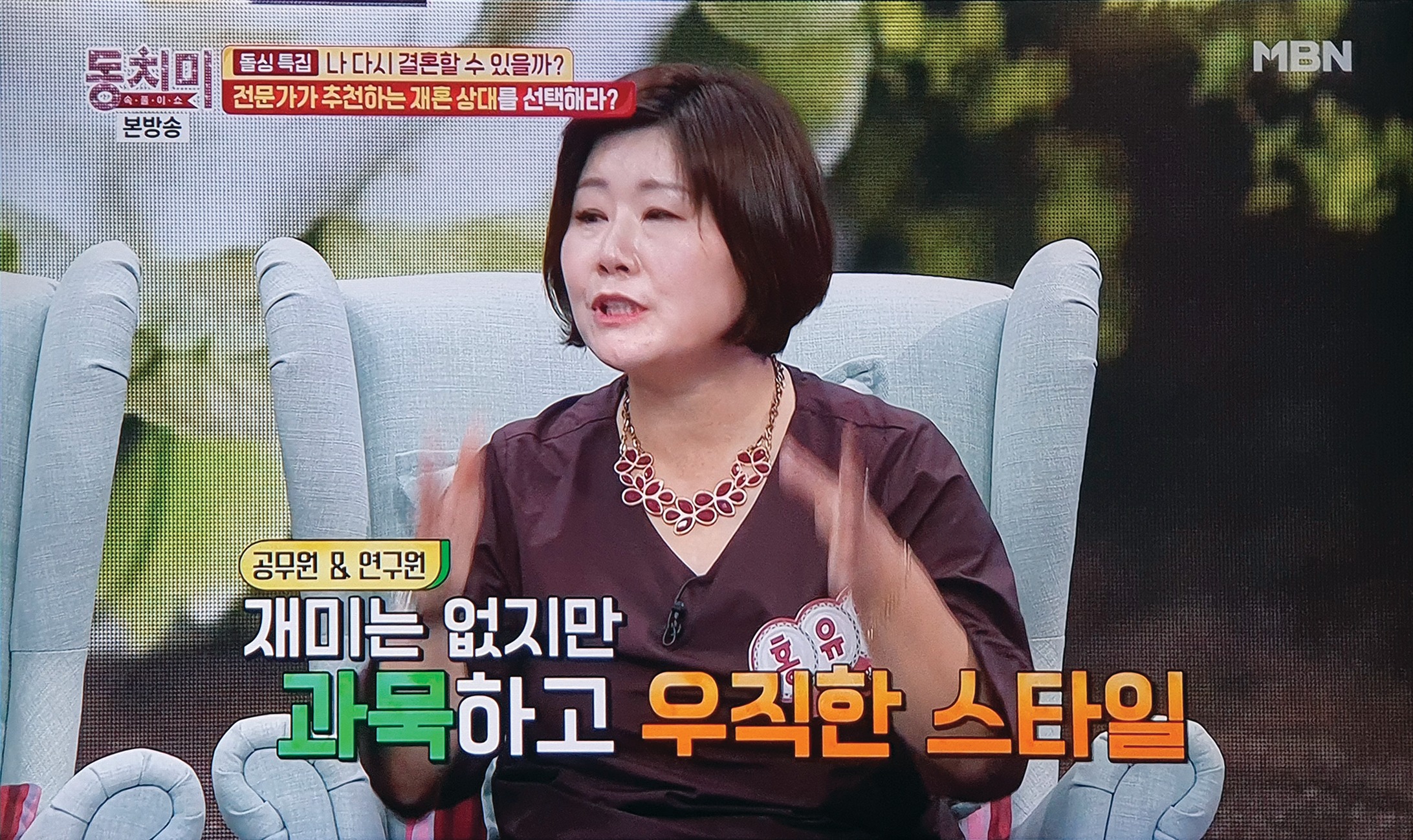 MBN 동치미